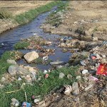 فردی در حال تخلیه مقدار زیادی زباله به داخل رودخانه گشت رودخان بود به ۴ ماه حبس محکوم شد.