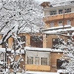شهردار ماسوله: برف در ماسوله شدت دارد.