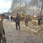 رئیس اداره راه و شهرسازی شهرستان فومن از سقوط هشت اصله درخت در جاده فومن به رشت به دلیل وزش باد شدید خبر داد.