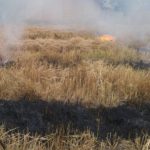 رئیس اداره حفاظت محیط زیست فومن از برخورد با ۵ کشاورز متخلف آتش زدن کاه و کلش در این شهرستان خبر داد