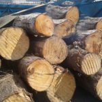 رییس منابع طبیعی فومن از کشف و ضبط ۹ تن چوب جنگلی قاچاق در این شهرستان خبر داد.